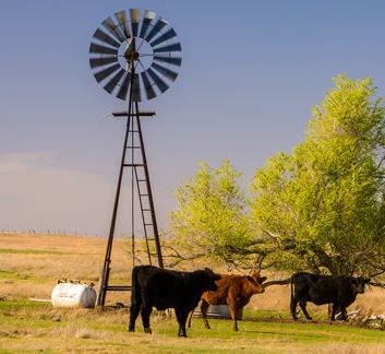 Windmill in field